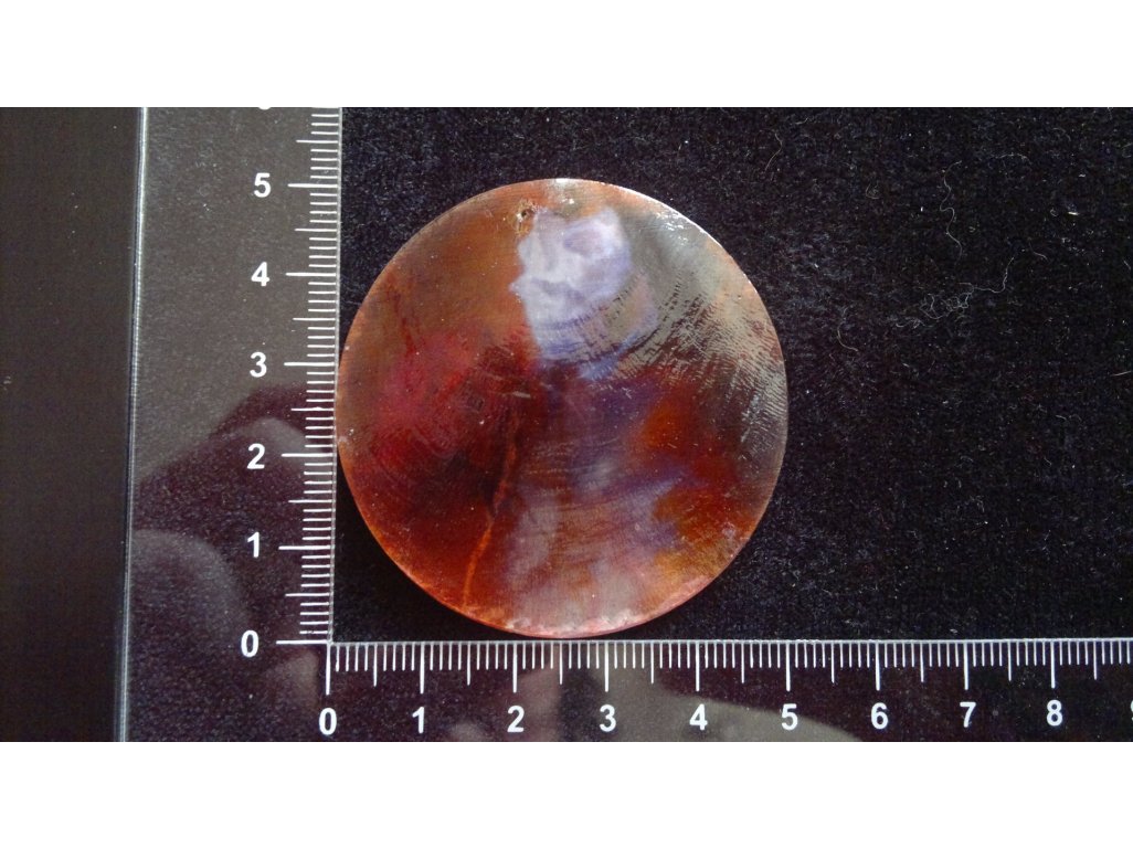 Slída 50 mm - motiv 32 perleť 50 mm 1,2 mm červenohnědá/modrá/červená/bílá