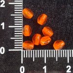 Pohanka-průhledná oranžová 5 mm