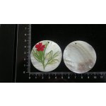 Silná perleť 50 mm - motiv 2 50 mm 1,2 mm perleť bílá/zelená/červená