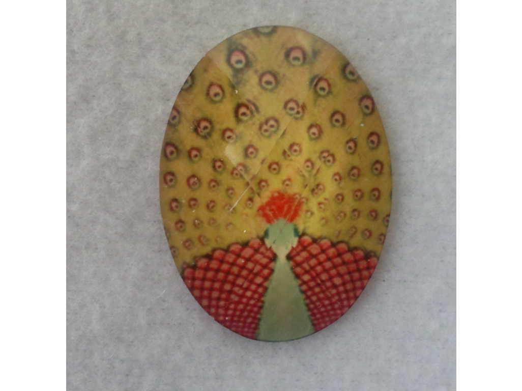 Kabošon páv 30x40mm, mix barev