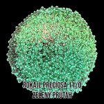 Rokajl PRECIOSA (11/0) - zelený průtah
