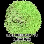 Rokajl PRECIOSA neon - zelený průtah 11/0